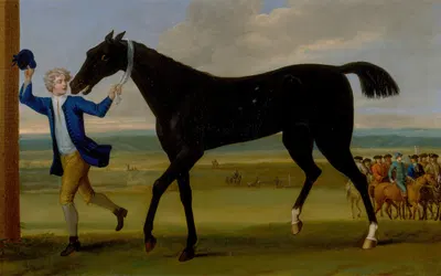 The Duke of Rutland's Bonny Black by Джон Уоттон — digital art print download