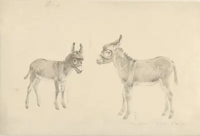 Twee ezels by Иосиф Августус Книп, 1787 - 1847 — digital art print download