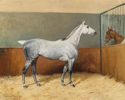 A Dappled-Grey Horse by Юлий фон Блаас, 1903 — digital art print download