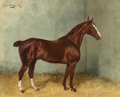 A Bay Horse with White Blaze in a Stable by Julius von Blaas, 1899 — digital art print download