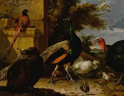 A peacock, pea-hen, pheasant, turkey, cockerel and chick by a wall, a landscape beyond by Мельхиор д'Ондекайтер — digital…