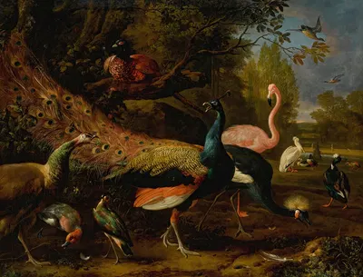 Exotic fowl, including a peacock and peahen, flamingo, African crane, pheasant, and lapwing, shoveller, pelican and tufted…
