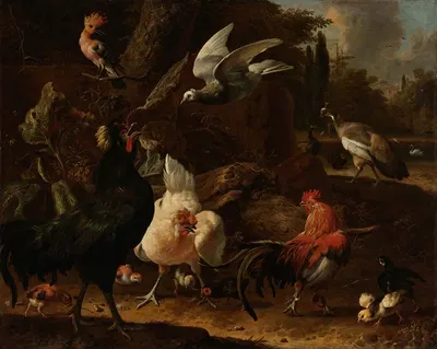 Birds in a Park by Мельхиор д'Ондекайтер, 1686 — digital art print download
