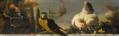 Birds on a Balustrade by Мельхиор д'Ондекайтер — digital art print download
