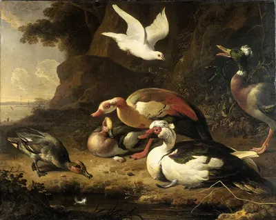 Ducks by Мельхиор д'Ондекайтер — digital art print download