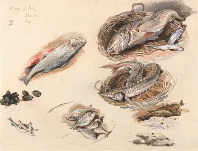 Study of Fish, Venice by Майлс Биркет Фостер, 1874 — digital art print download