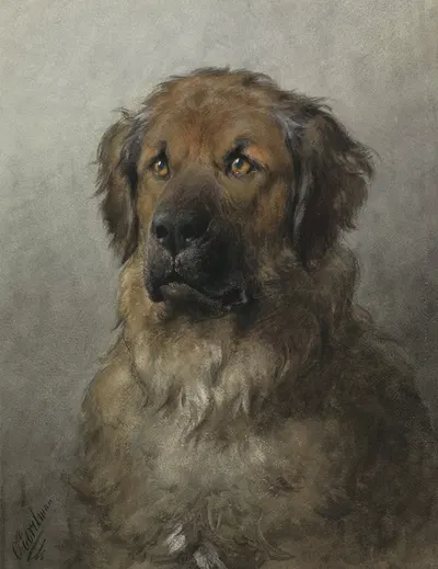 Head of a Leonberger by Отто Эерелман — digital art print download