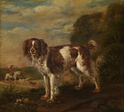 A spaniel by Паулус Поттер, 1653 — digital art print download