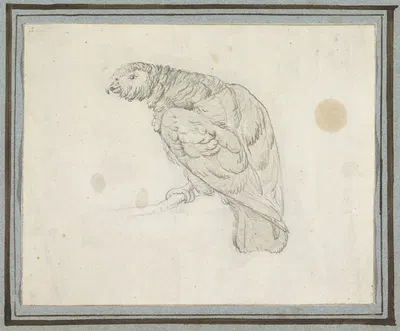 Papegaai by Pieter Casteels III, 1694 - 1749 — digital art print download