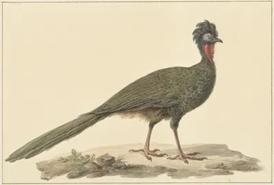 Penelope, op de grond by Pieter Pietersz. Barbiers, 1759 - 1842 — digital art print download