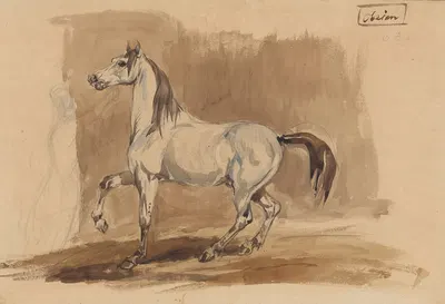 Siwy koń arabski 'Obeian' by Piotr Michałowski, 1845 — digital art print download