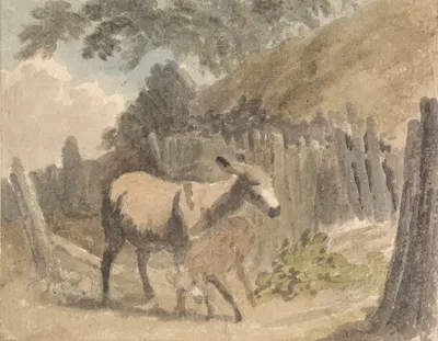 A Donkey and Foal by Роберт Хиллс — digital art print download