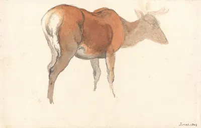 A Stag by Роберт Хиллс, 1802 — digital art print download