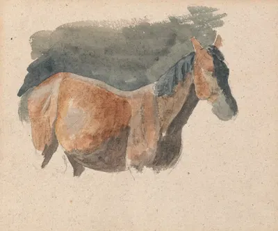 Sketch of a Horse by Роберт Хиллс — digital art print download