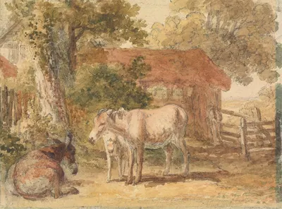 Three Donkeys by Роберт Хиллс — digital art print download