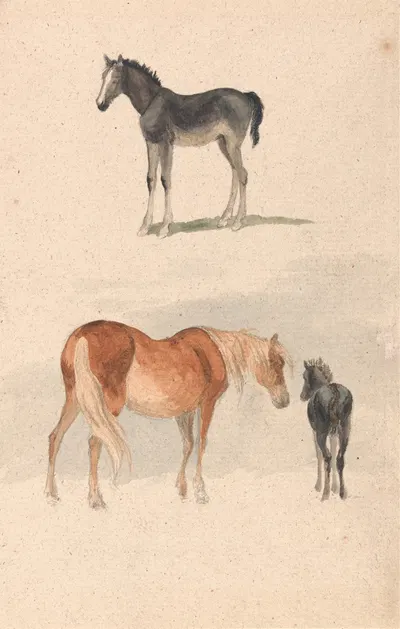 Two Studies; a Foal, and a Mare and Foal by Роберт Хиллс — digital art print download