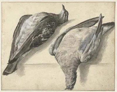 Twee dode duiven by Рохус ван Вейн, 1649 - 1709 — digital art print download