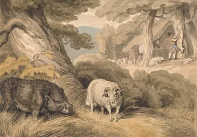 A Boar and a Ram by Samuel Howitt — digital art print download
