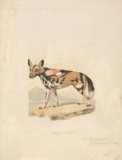 Abyssinian Dog by Samuel Howitt — digital art print download