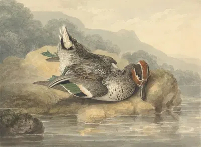 Dead Teal by Samuel Howitt — digital art print download