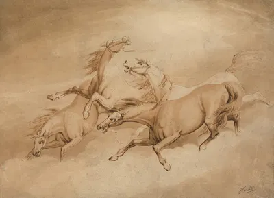 Four Galloping Horses by Samuel Howitt — digital art print download