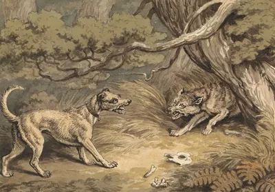 The Dog and the Wolf by Samuel Howitt — digital art print download