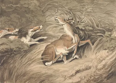 Two Hounds Attacking a Stag at Bay by Samuel Howitt — digital art print download