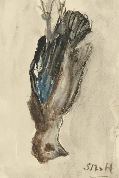 Dood vogeltje, hangend aan zijn poten by Сиентье Месдаг ван Хутен, 1844 - 1909 — digital art print download