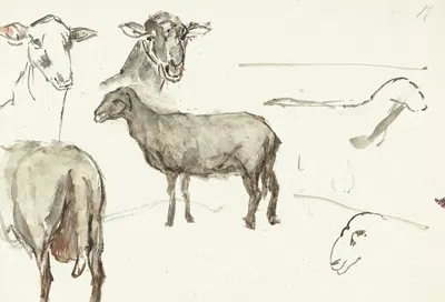 Schetsen van schapen by Сиентье Месдаг ван Хутен, 1844 - 1909 — digital art print download