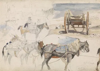 Studieblad met schelpenkar op het strand en diverse studies van paarden by Виллем Антоний ван Деентер, 1852 — digital art…