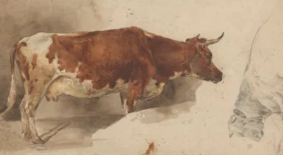 Staande koe, naar rechts, en schets van een rund by Willem Carel Nakken, 1845 - 1926 — digital art print download