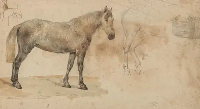 Studies van een paard by Willem Carel Nakken, 1845 - 1926 — digital art print download