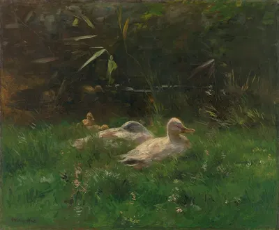 Eenden by Виллем Марис — digital art print download