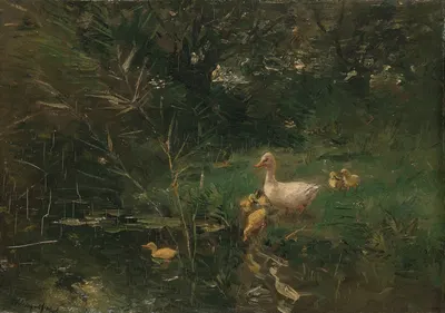 Eendjes by Виллем Марис — digital art print download