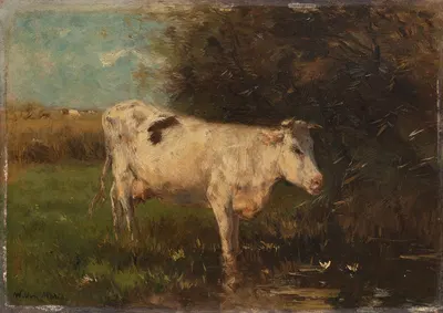 White Cow by Виллем Марис — digital art print download