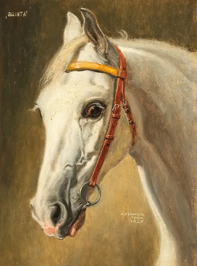 Pferdeportrait Quinta by Александр Пок, 1926 — digital art print download