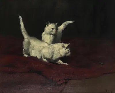 Kätzchen beobachten einen Käfer by Артур Хейер — digital art print download