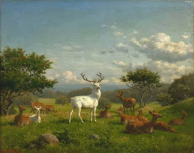 A white stag with its pack by Карл Бёг — digital art print download