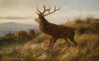 Rotwildrudel by Карл Фридрих Дейкер — digital art print download