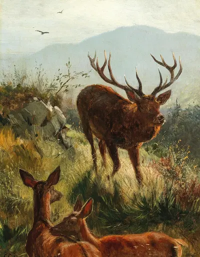 Hirsch und Hirschkühe am Hügel by Карл Фридрих Дейкер — digital art print download