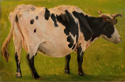 Black and white cow standing. Study by Карло Далгас, 1845 — digital art print download