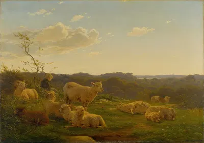 Sheep on a hill near Skarridsø by Carlo Dalgas, 1845 — digital art print download