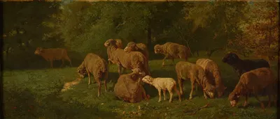 Moutons by Шарль Эмиль Жак — digital art print download