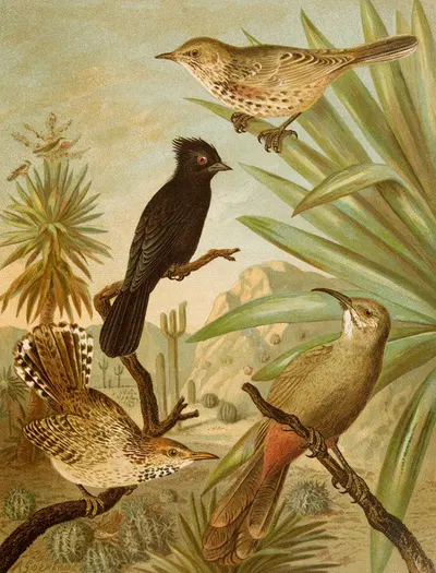 Die Nordamerikanische Vogelwelt pl03 by Кристиан Антон Гёринг, 1891 — digital art print download