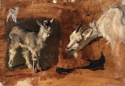 Goats by Eliphalet Fraser Andrews — digital art print download
