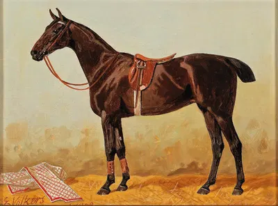 Brauner im Stall mit Satteldecke by Эмиль Волькерс, 1903 — digital art print download