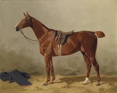 Gesatteltes Sportpferd by Эмиль Волькерс, 1895 — digital art print download