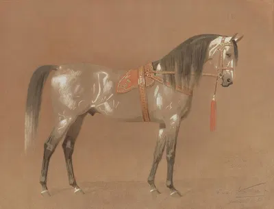 Osman Pasch by Эмиль Волькерс — digital art print download