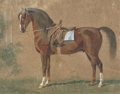 Gesattelter Hengst by Emil Volkers, 1865 — digital art print download