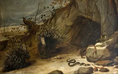 Porcupines and vipers by Франс Снайдерс — digital art print download